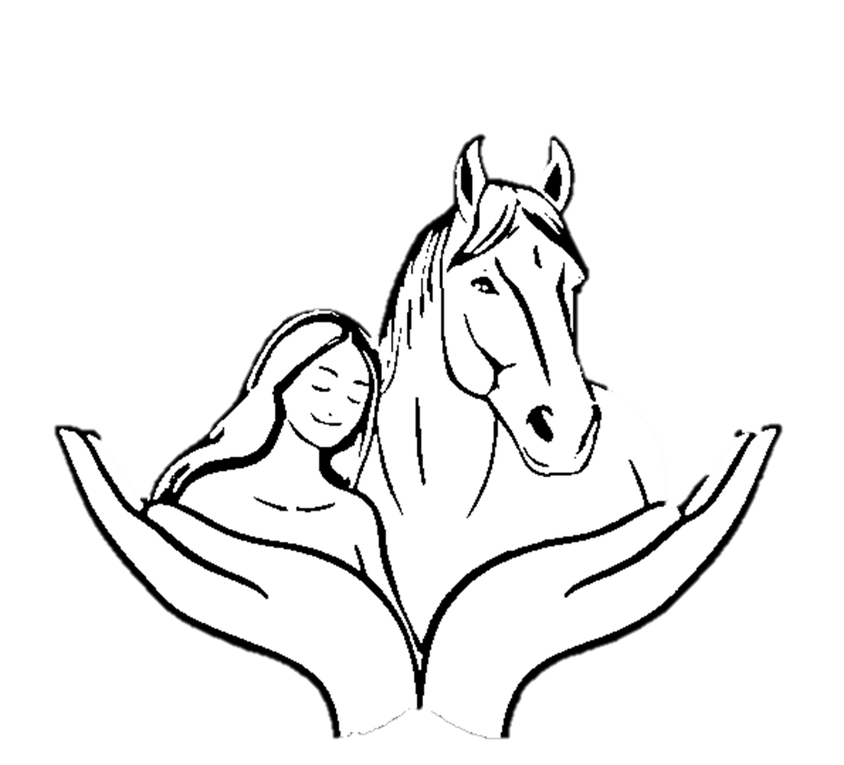 Native Soul Healers Events