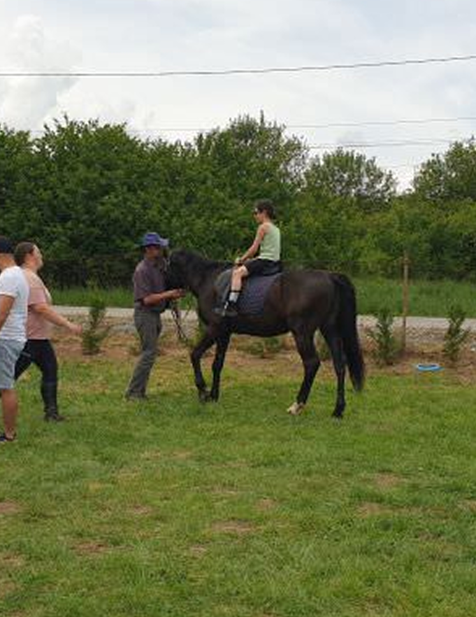 Activitati asistate de cai, Native Soul Healers